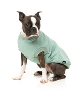 Allday Sweater - Mint by FuzzYard