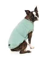 Allday Sweater - Mint by FuzzYard