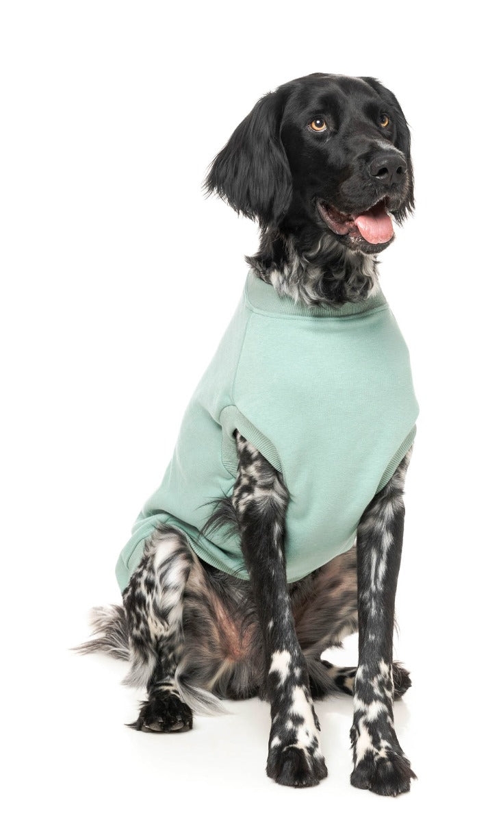 Allday Sweater - Mint by FuzzYard