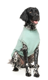 Allday Sweater - Mint by FuzzYard