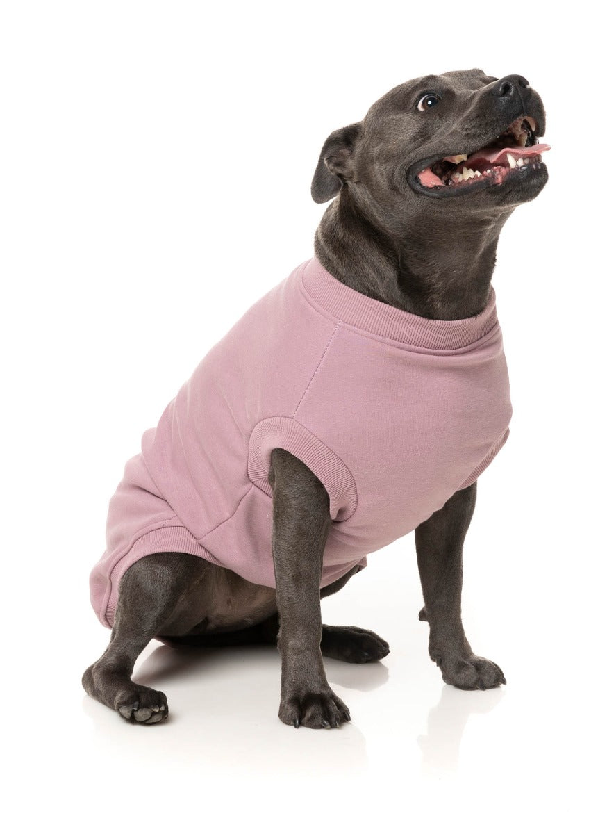 Allday Sweater - Purple by FuzzYard