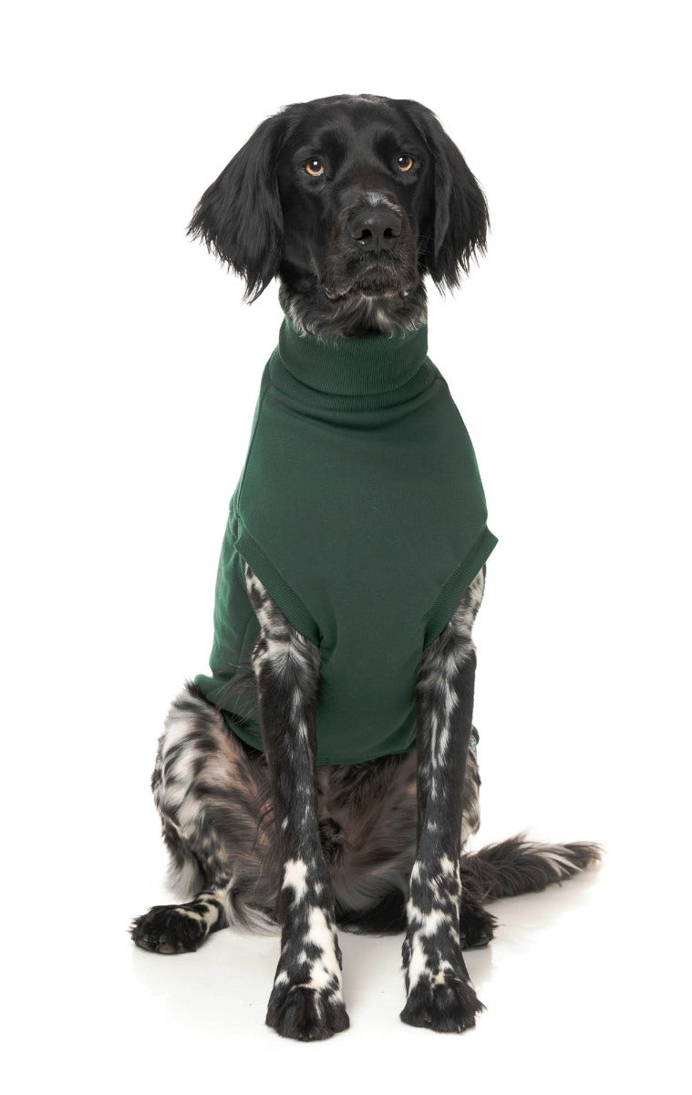 Stevie Sweater - Green by FuzzYard
