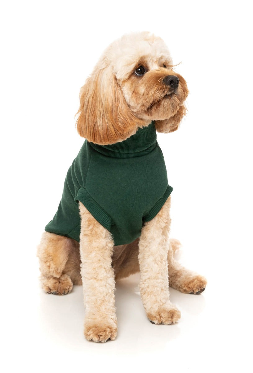 Stevie Sweater - Green by FuzzYard