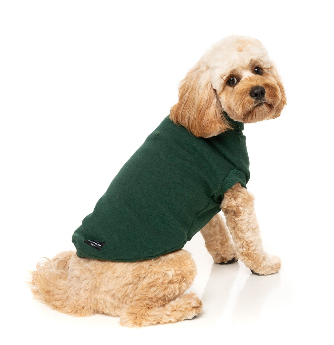 Stevie Sweater - Green by FuzzYard