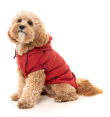 Maroon Street Hoodie