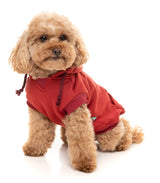 Maroon Street Hoodie