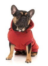 Maroon Street Hoodie