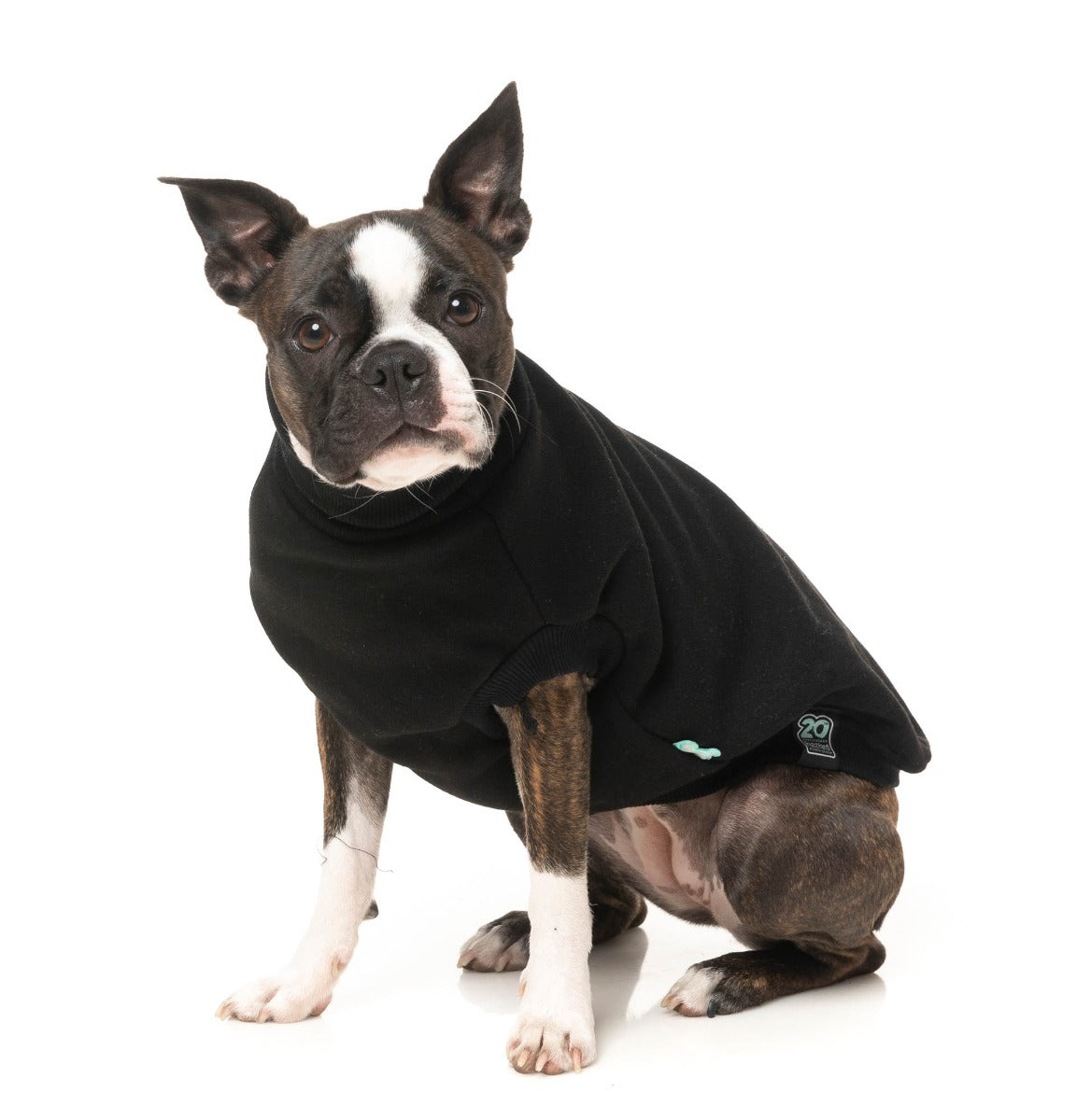 Stevie Sweater - Black by FuzzYard