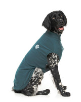 Rock It Sweater - Dark Green by FuzzYard