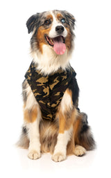 G.I Dog Jacket