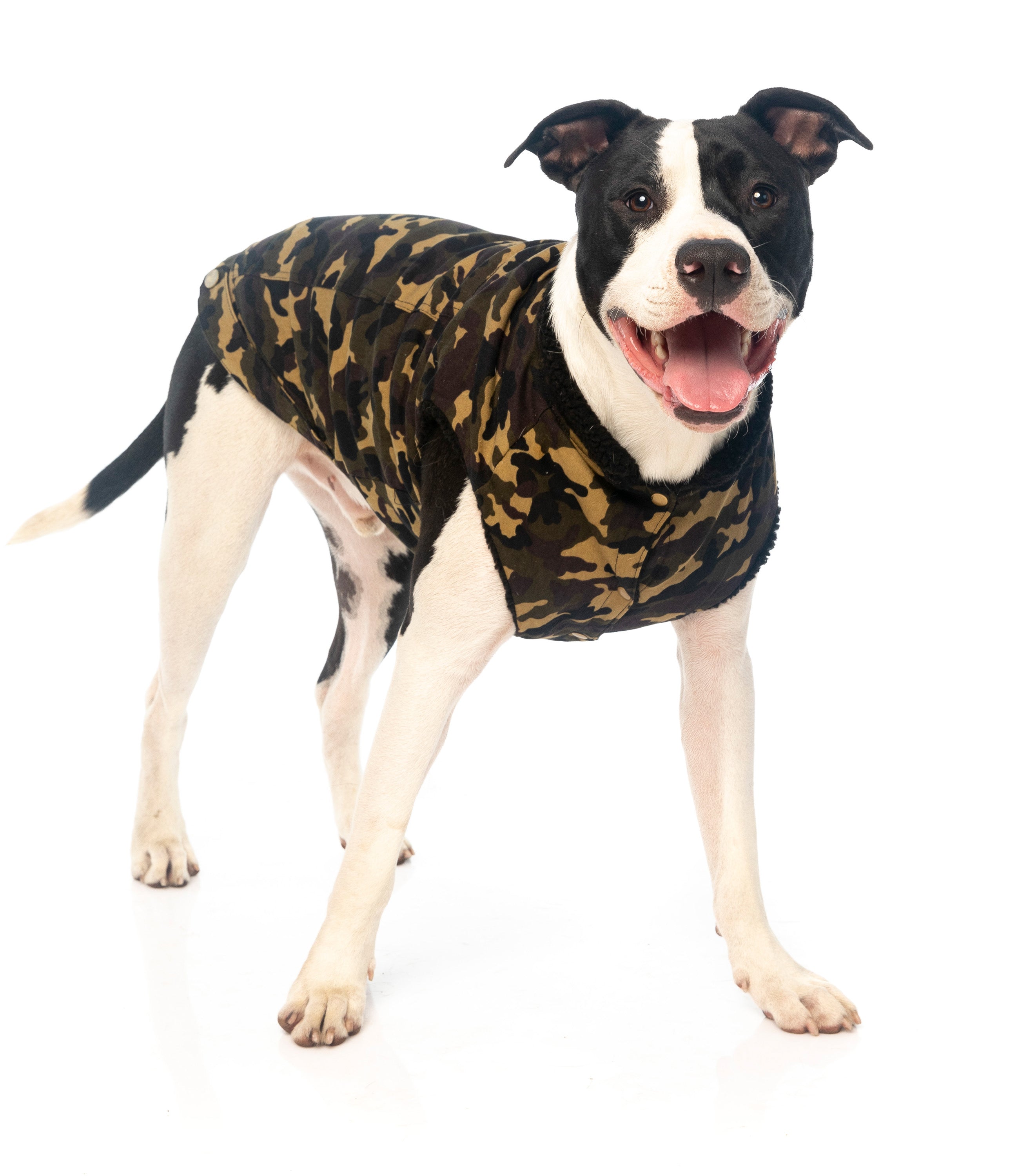 G.I Dog Jacket
