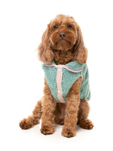 Hana Jacket - Sage by FuzzYard