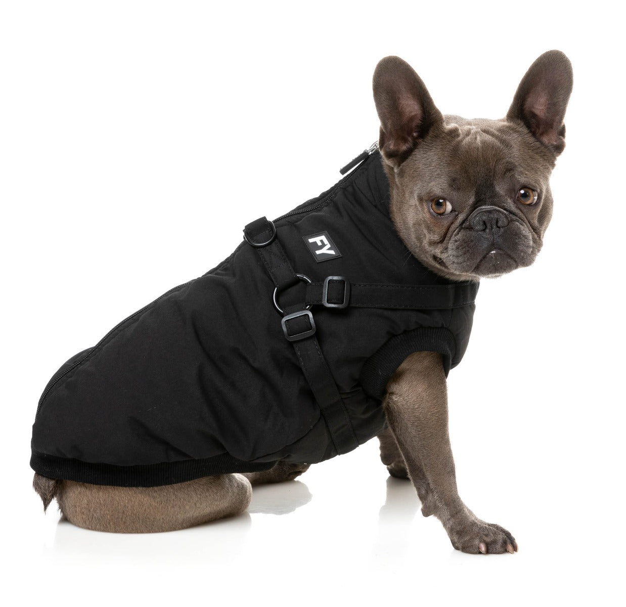 Flash Jacket - Black by FuzzYard