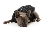 Flash Jacket - Black by FuzzYard