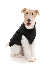 Flash Jacket - Black by FuzzYard