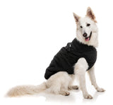 Flash Jacket - Black by FuzzYard