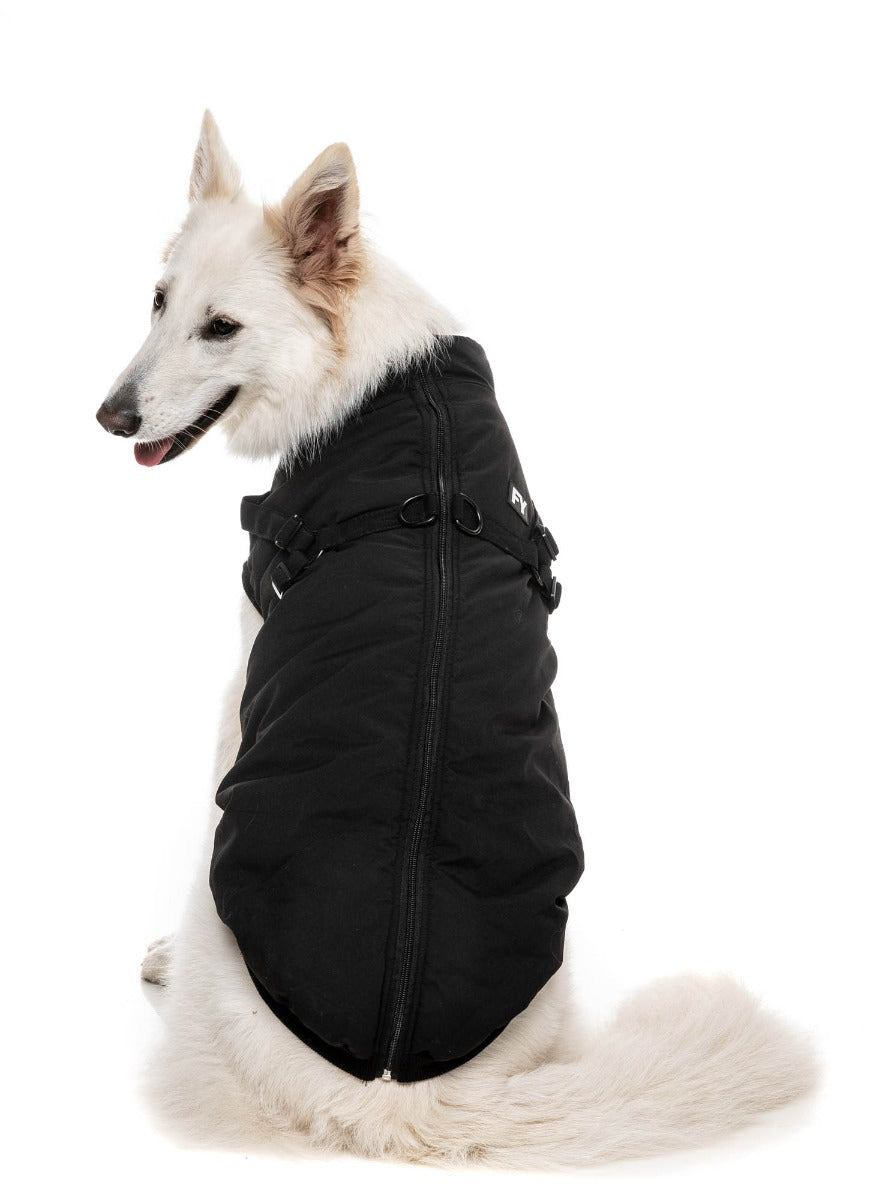 Flash Jacket - Black by FuzzYard