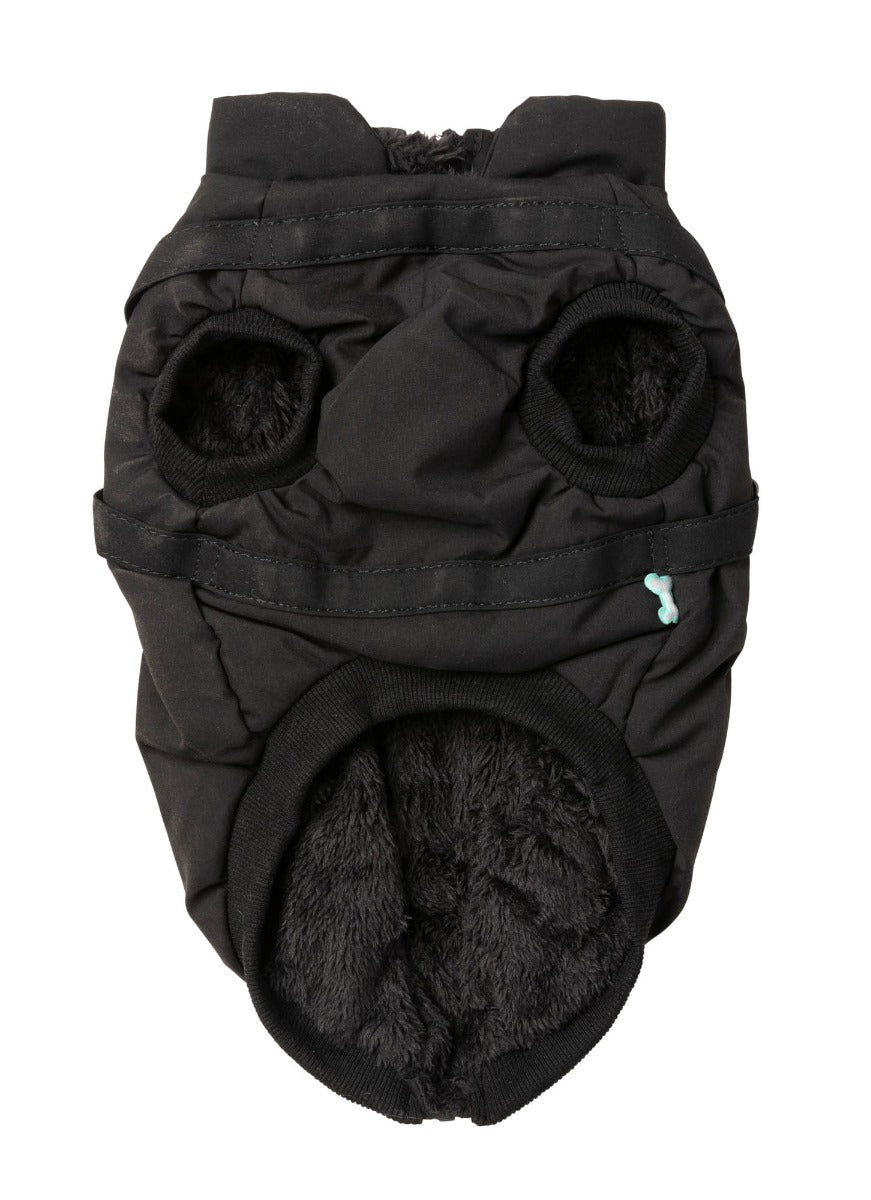 Flash Jacket - Black by FuzzYard