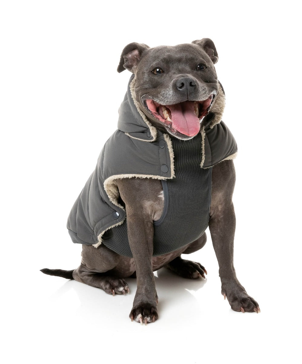 Essential Puffer Jacket - Charcoal by FuzzYard