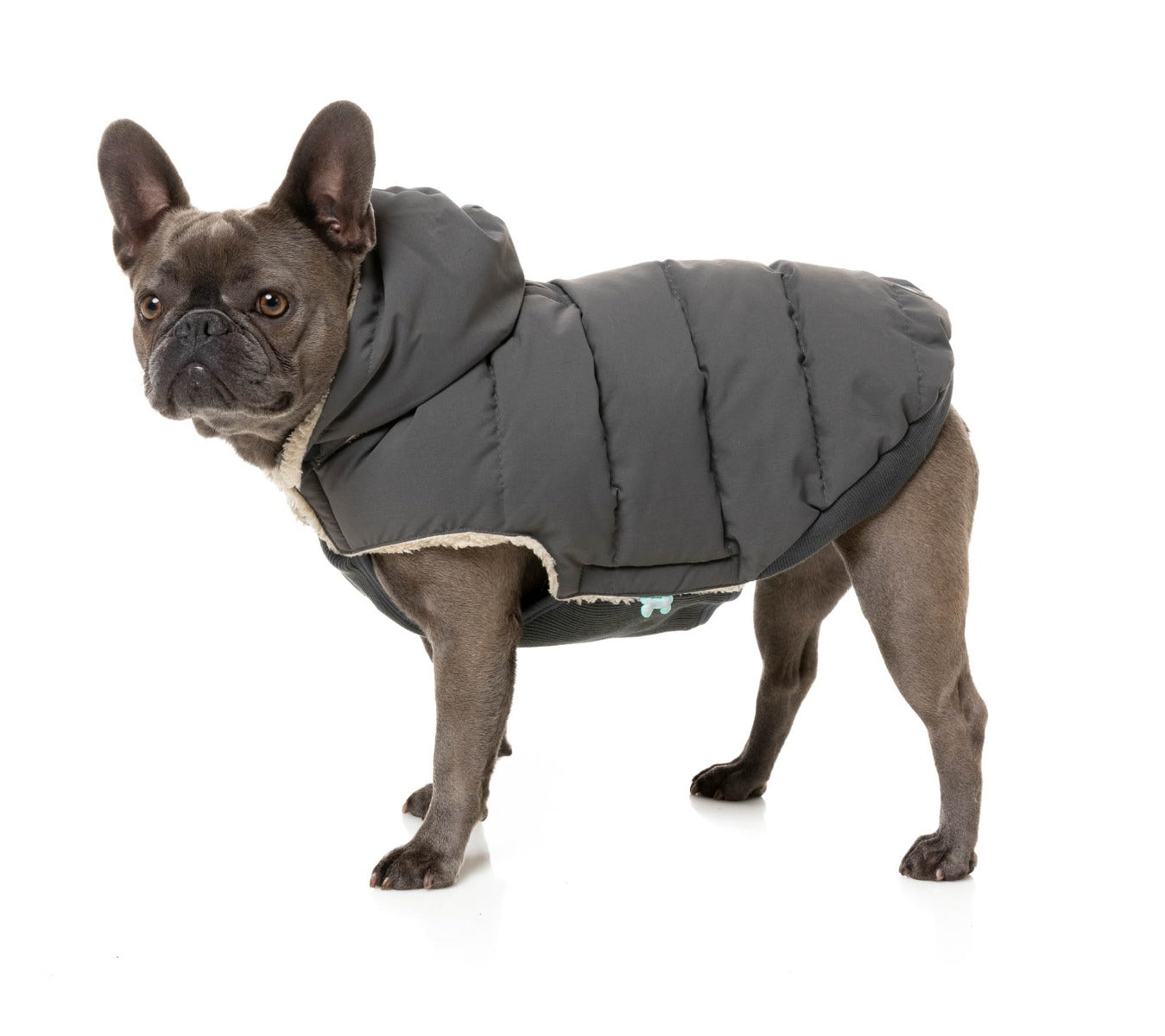 Essential Puffer Jacket - Charcoal by FuzzYard