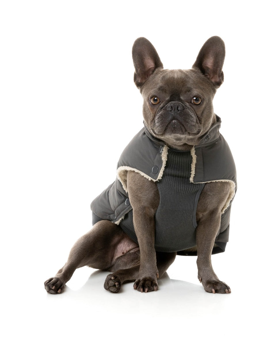 Essential Puffer Jacket - Charcoal by FuzzYard