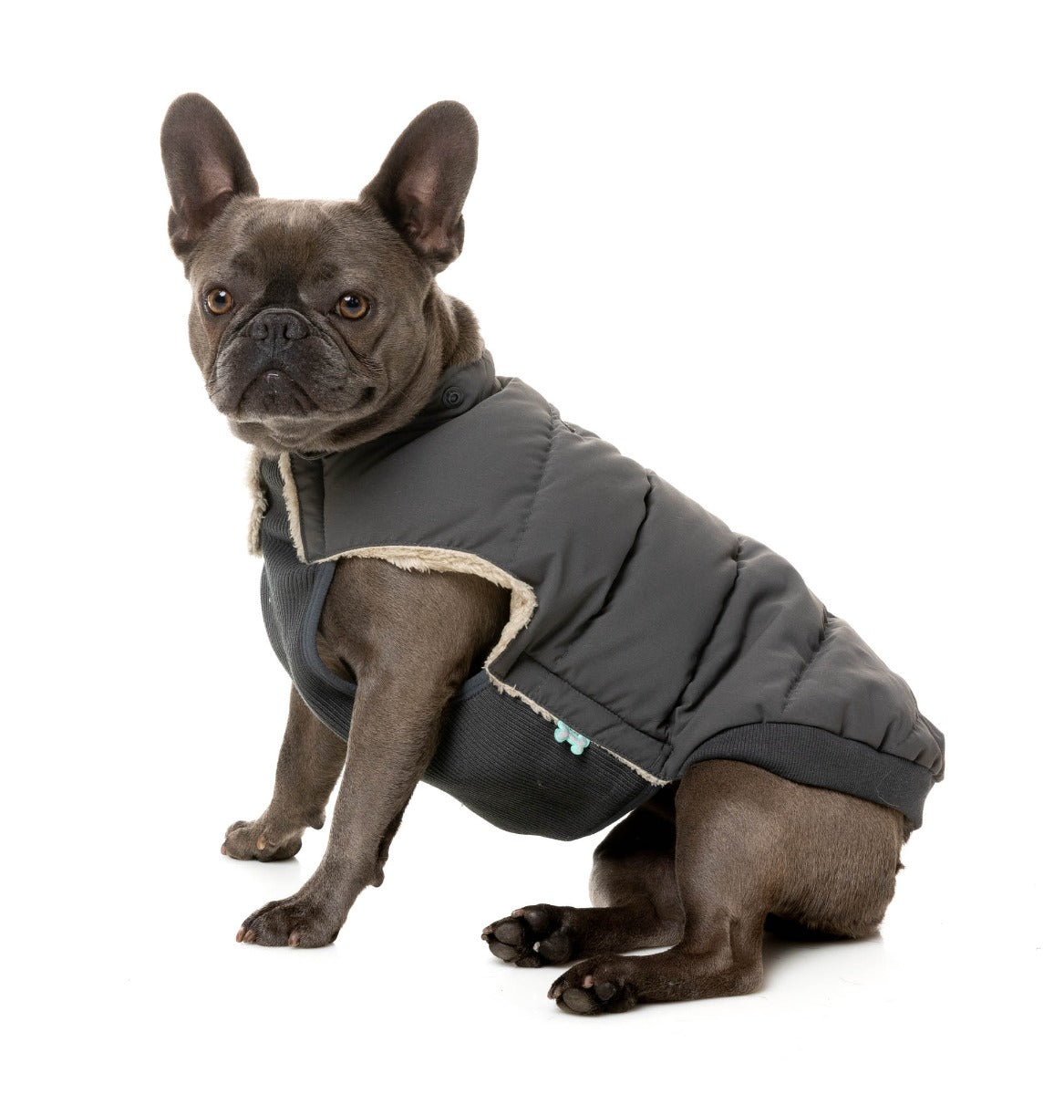 Essential Puffer Jacket - Charcoal by FuzzYard