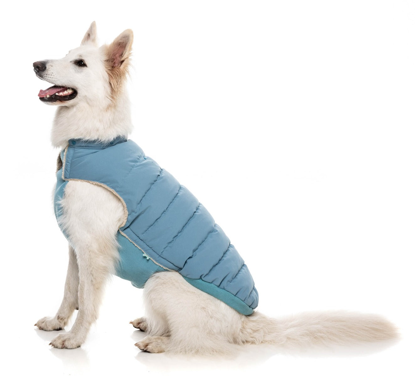 Essential Puffer Jacket - Blue by FuzzYard