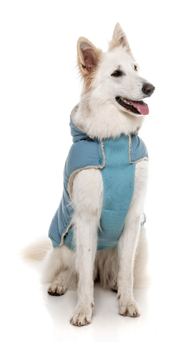 Essential Puffer Jacket - Blue by FuzzYard