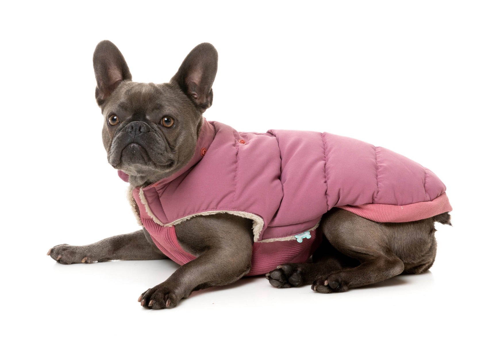 Essential Puffer Jacket - Mauve by FuzzYard