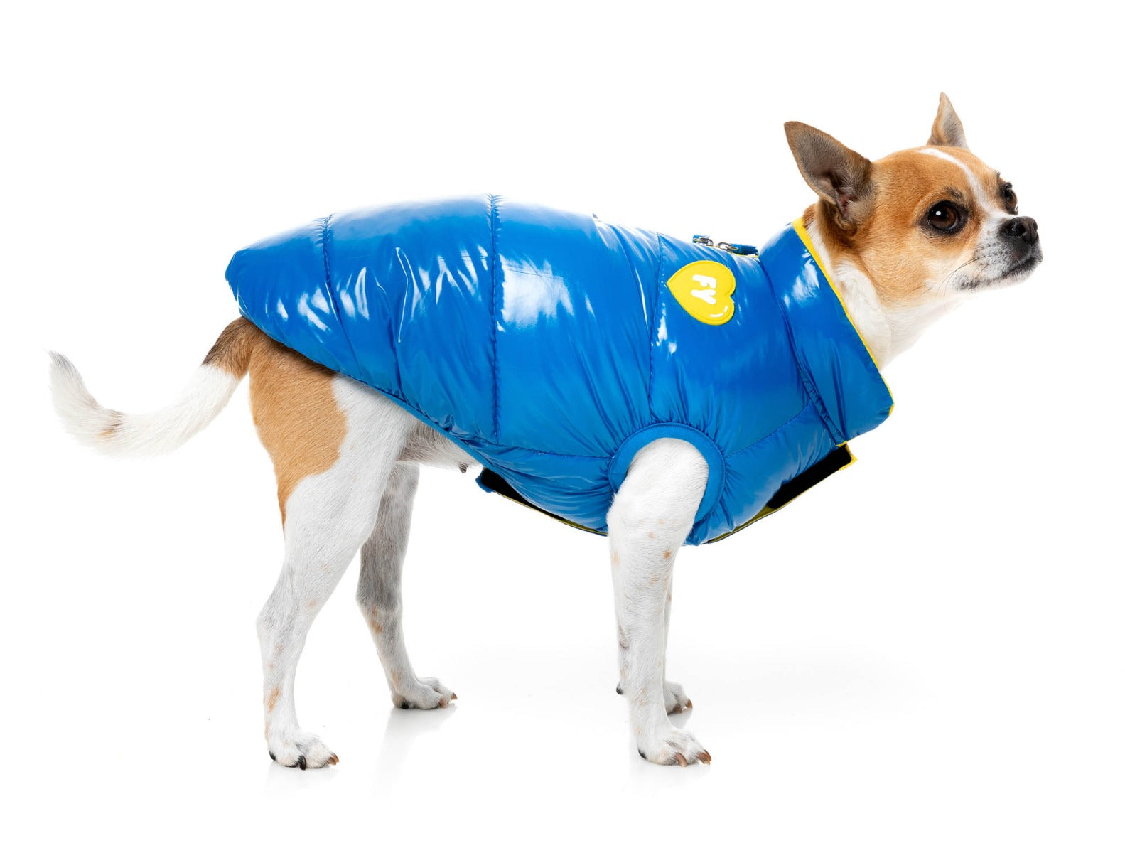 Amor Puffer Jacket - Cobalt Blue by FuzzYard