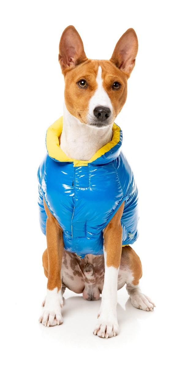 Amor Puffer Jacket - Cobalt Blue by FuzzYard