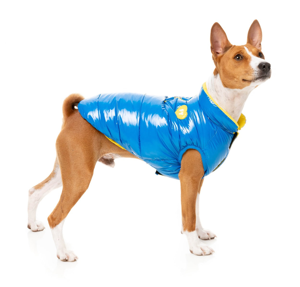Amor Puffer Jacket - Cobalt Blue by FuzzYard