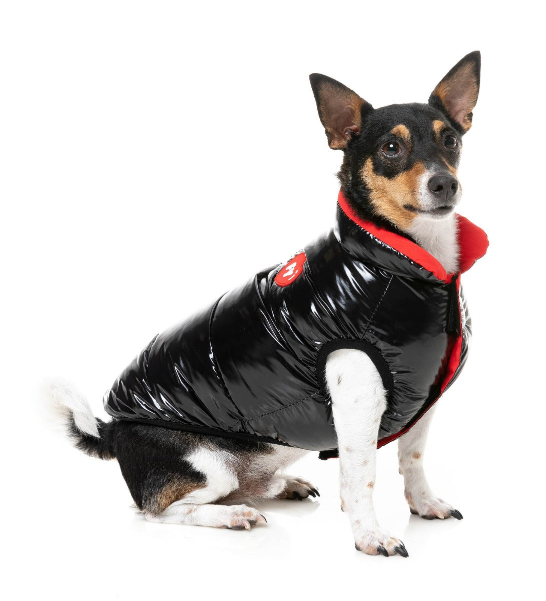 Amor Puffer Jacket - Black by FuzzYard
