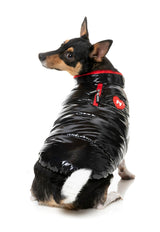 Amor Puffer Jacket - Black by FuzzYard