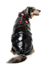 Amor Puffer Jacket - Black by FuzzYard