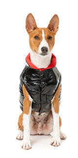 Amor Puffer Jacket - Black by FuzzYard