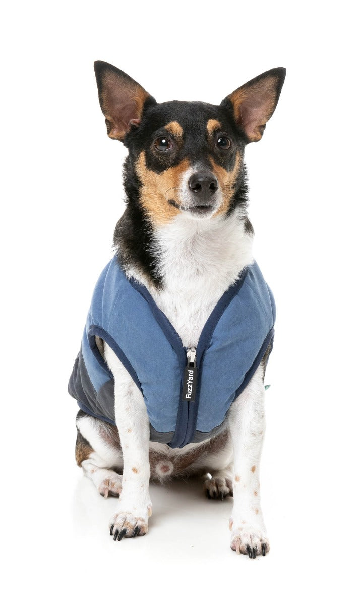 Kyoto Jacket - Blue by FuzzYard