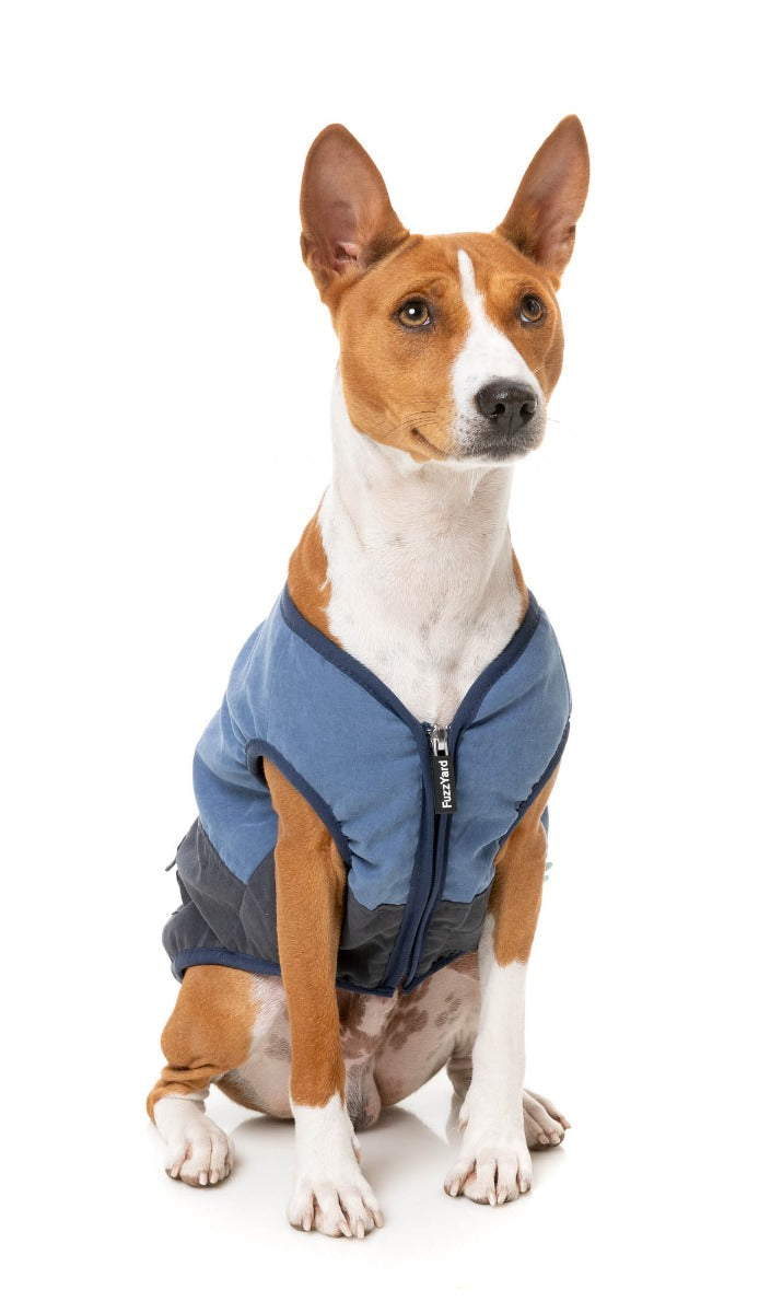 Kyoto Jacket - Blue by FuzzYard