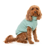 Stevie 24 Sweater - Mint by FuzzYard