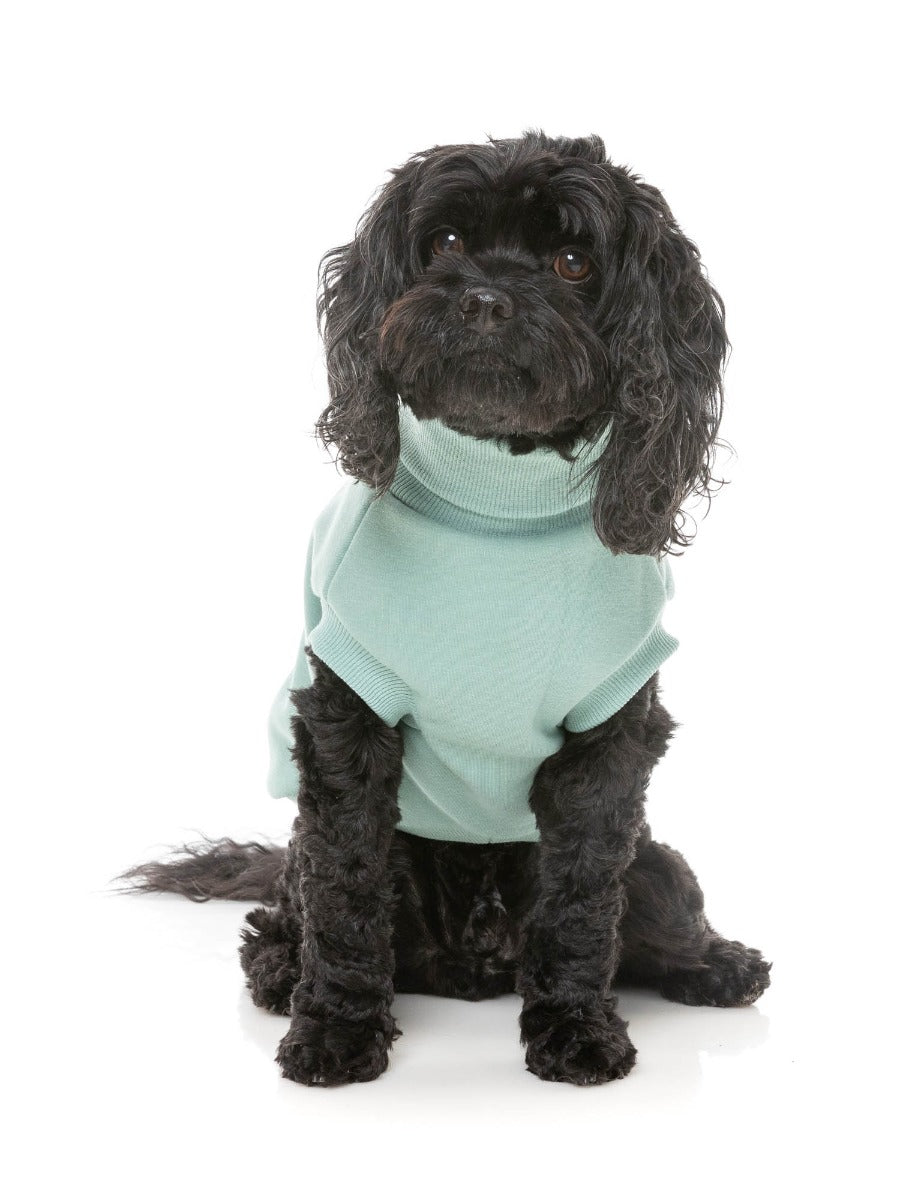 Stevie 24 Sweater - Mint by FuzzYard