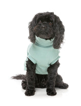 Stevie 24 Sweater - Mint by FuzzYard