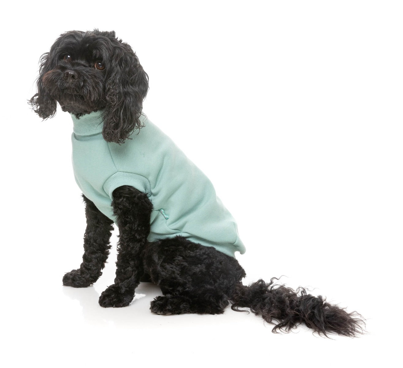 Stevie 24 Sweater - Mint by FuzzYard