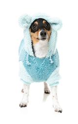 Winnie Hoodie - Blue by FuzzYard