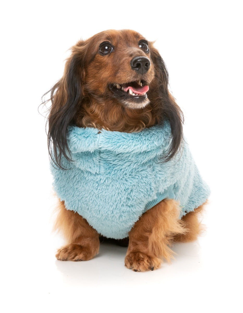 Turtle Teddy 24 Sweater - Blue by FuzzYard