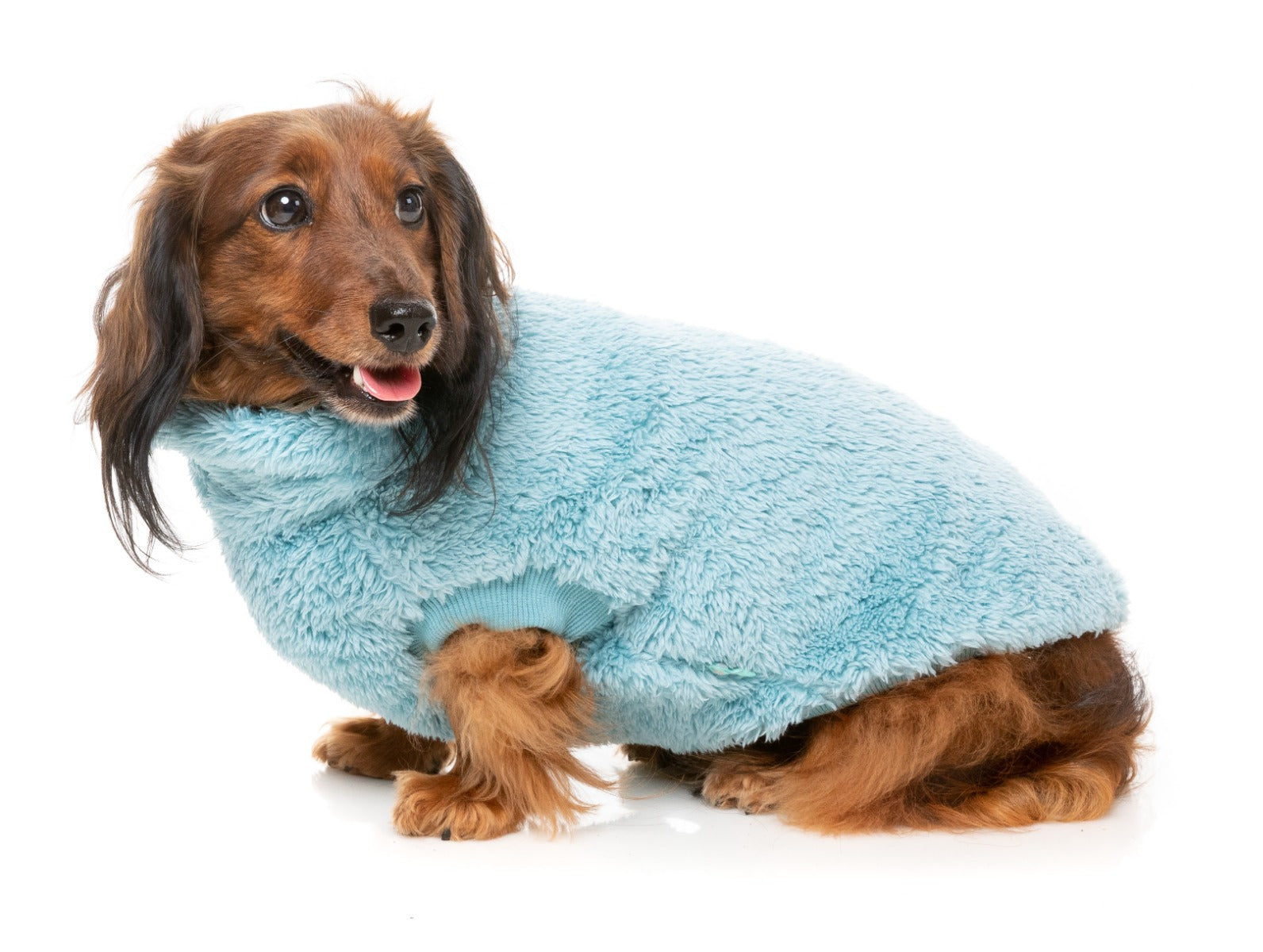 Turtle Teddy 24 Sweater - Blue by FuzzYard