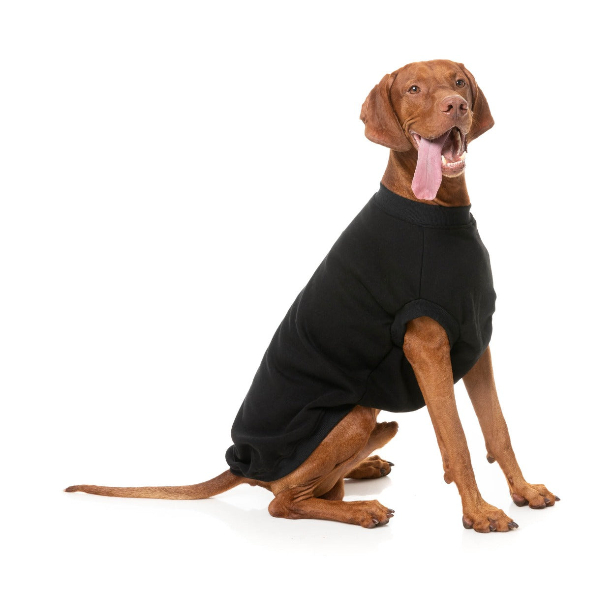 Allday 24 Sweater - Black by FuzzYard