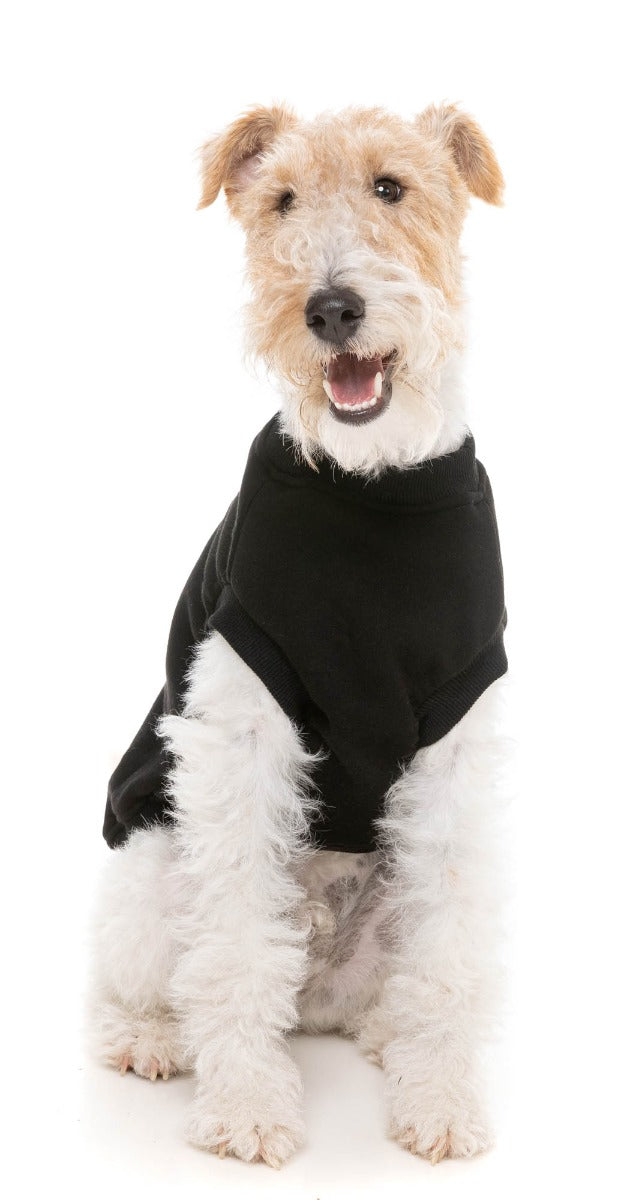 Allday 24 Sweater - Black by FuzzYard