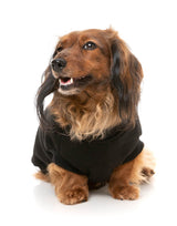 Allday 24 Sweater - Black by FuzzYard