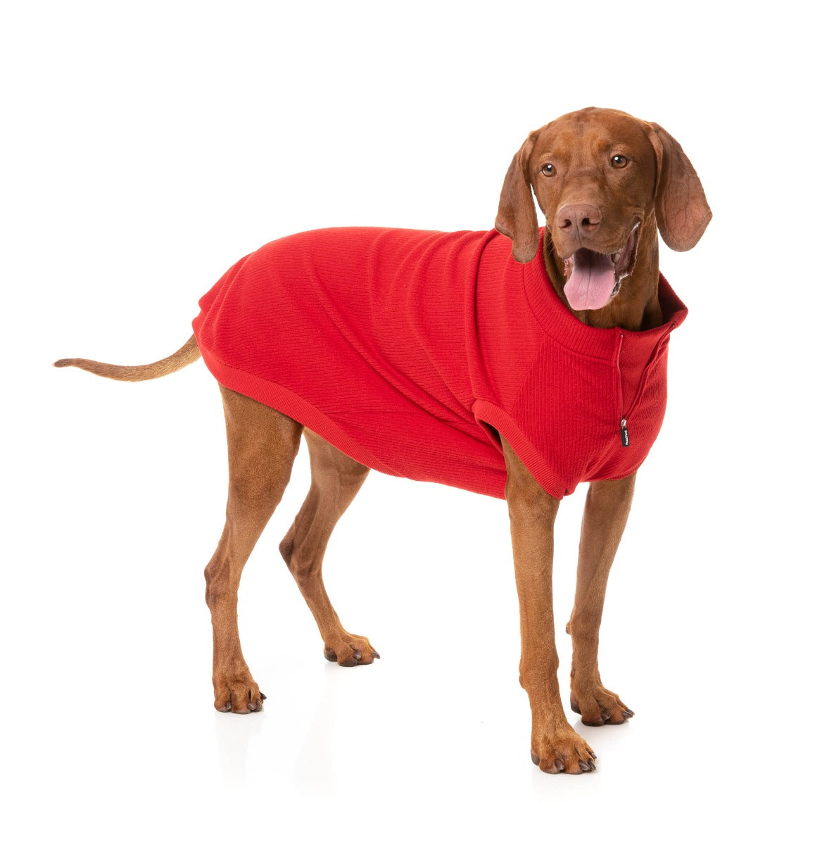 Cambridge Sweater - Red by FuzzYard
