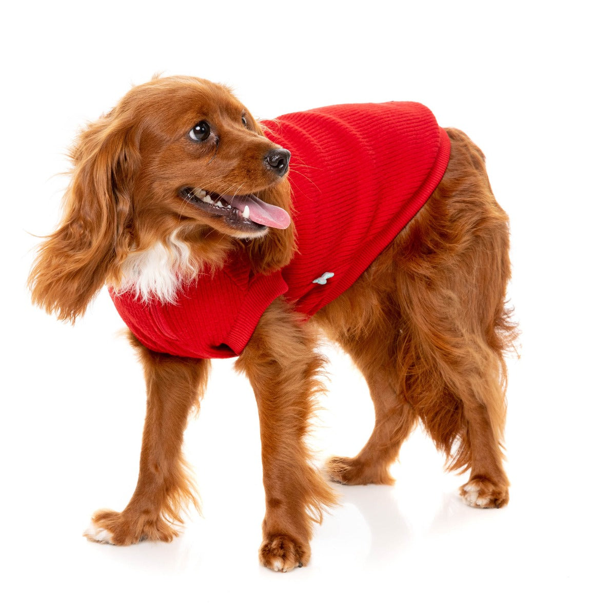 Cambridge Sweater - Red by FuzzYard